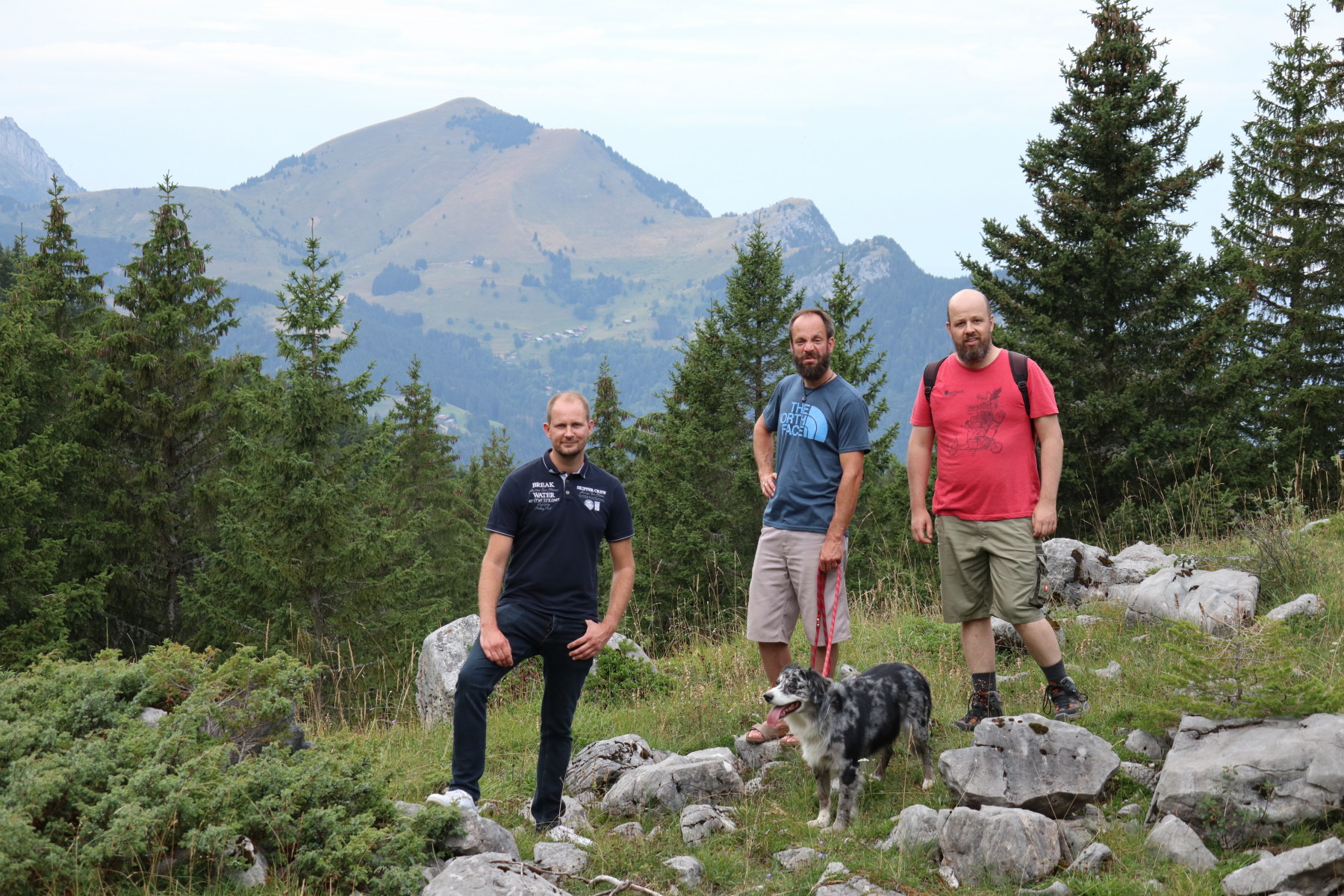 Chargement de la photo suivante en arrière plan