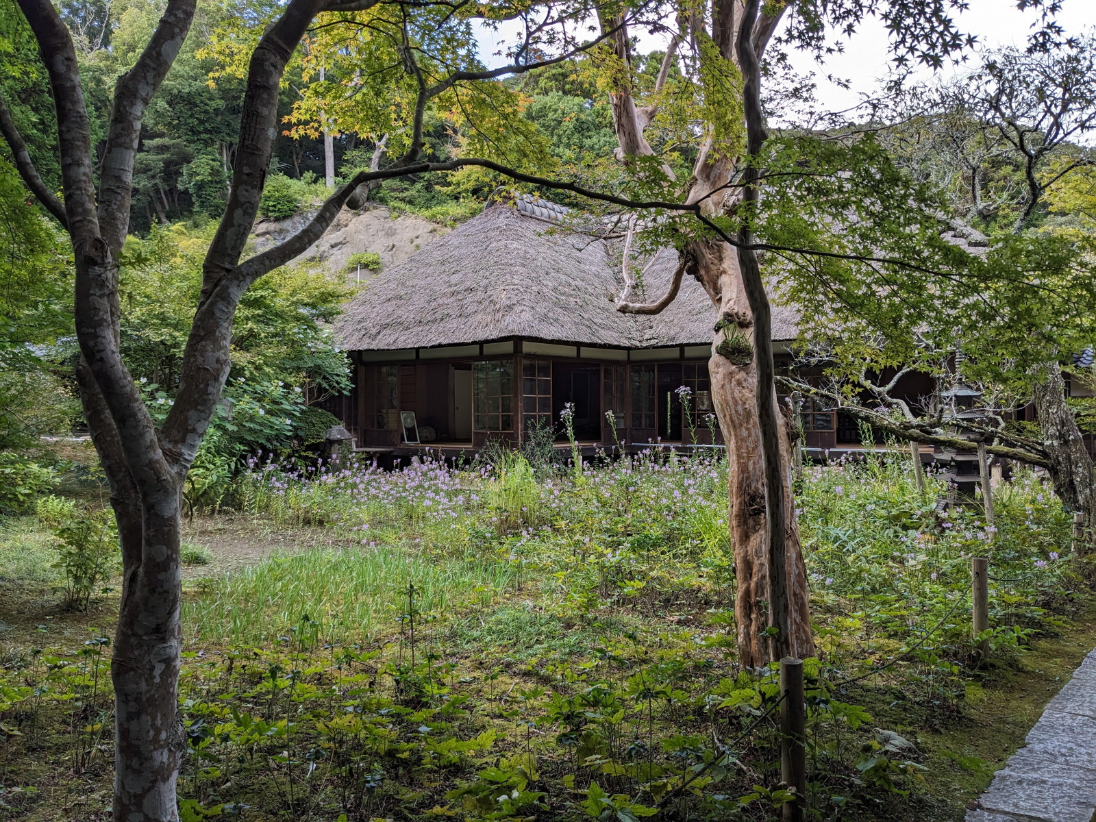 Chargement de la photo suivante en arrière plan