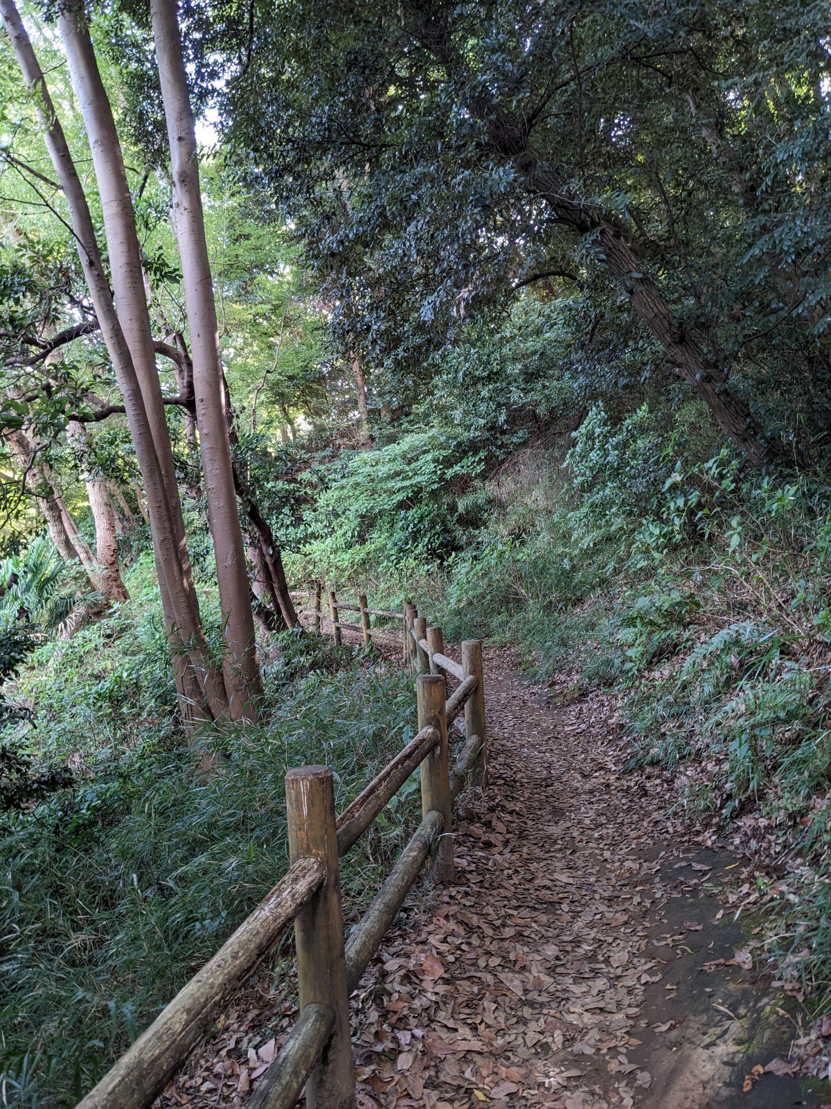 Chargement de la photo suivante en arrière plan