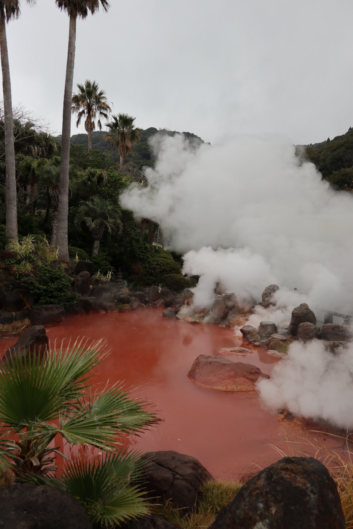 Chargement de la photo suivante en arrière plan