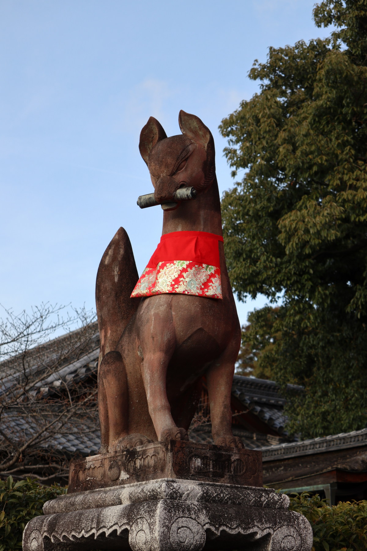 Chargement de la photo suivante en arrière plan