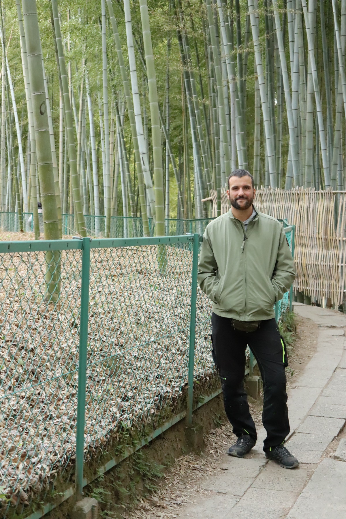 Chargement de la photo suivante en arrière plan